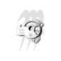 OIL PUMP COVER