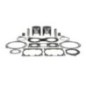 SBT -PROX .Kit Plunger Premium, Yamaha, 800cc 66E (cote standard 79.90mm)