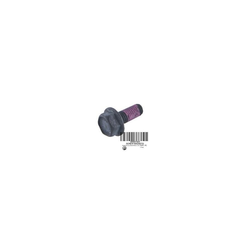 SCREW KIT