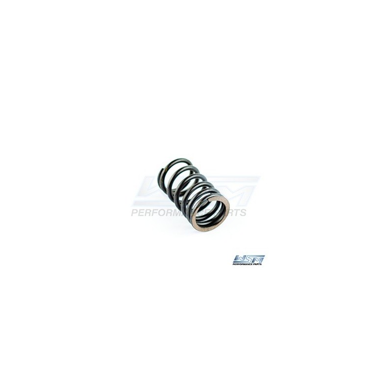 Ressort de soupape (ext) Seadoo 1503cc
