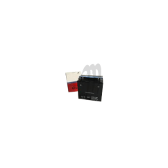 Batterie sans entretien 12V étanche 14Ah Kawasaki X2 800