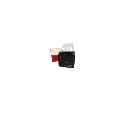 Batterie sans entretien 12V étanche 14Ah Kawasaki X2 800