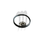 NEOPRENE SEAL
