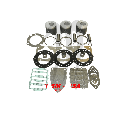 WSM USA Kit Plunger Platinum Kawasaki 1100cc DI ( STD 80mm )