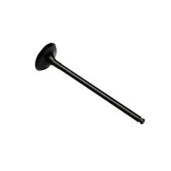 Soupape d'échappement Kawasaki 300/310